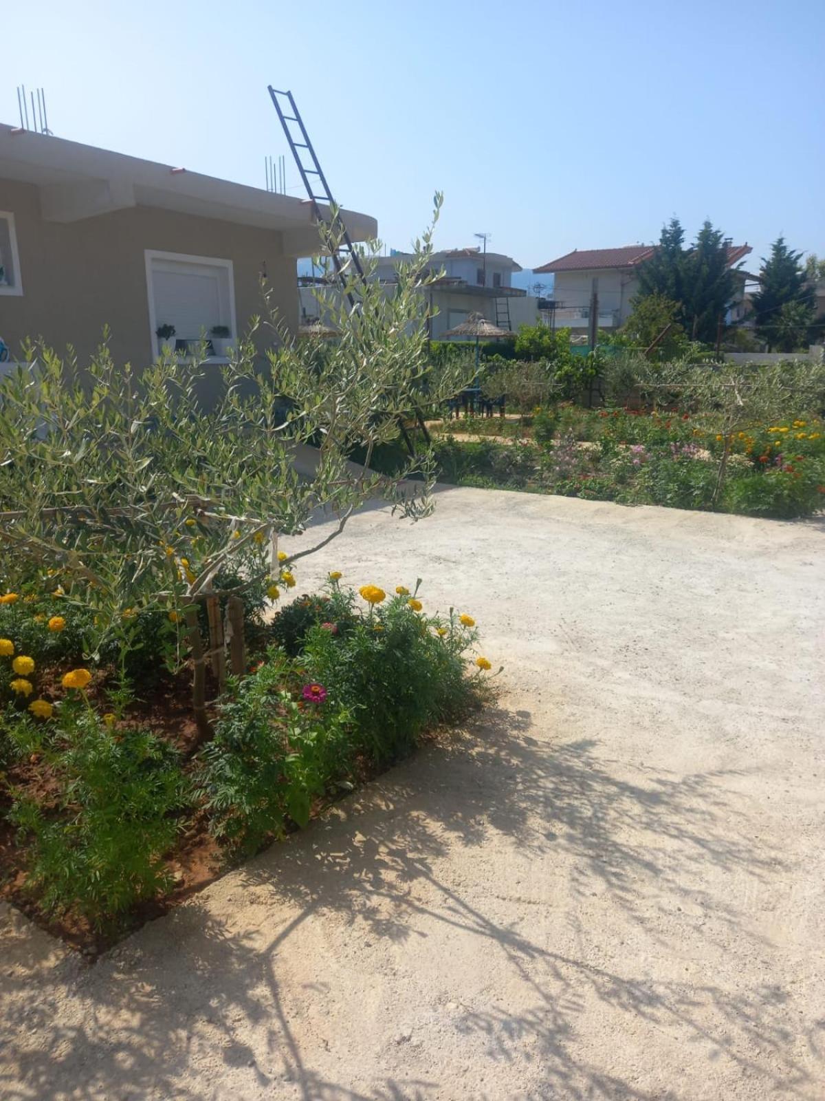 Готель Rey Garden 2 Вльора Екстер'єр фото